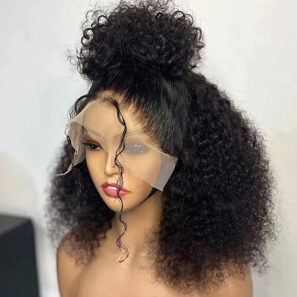 Front Lace 100% Human Hair Wig