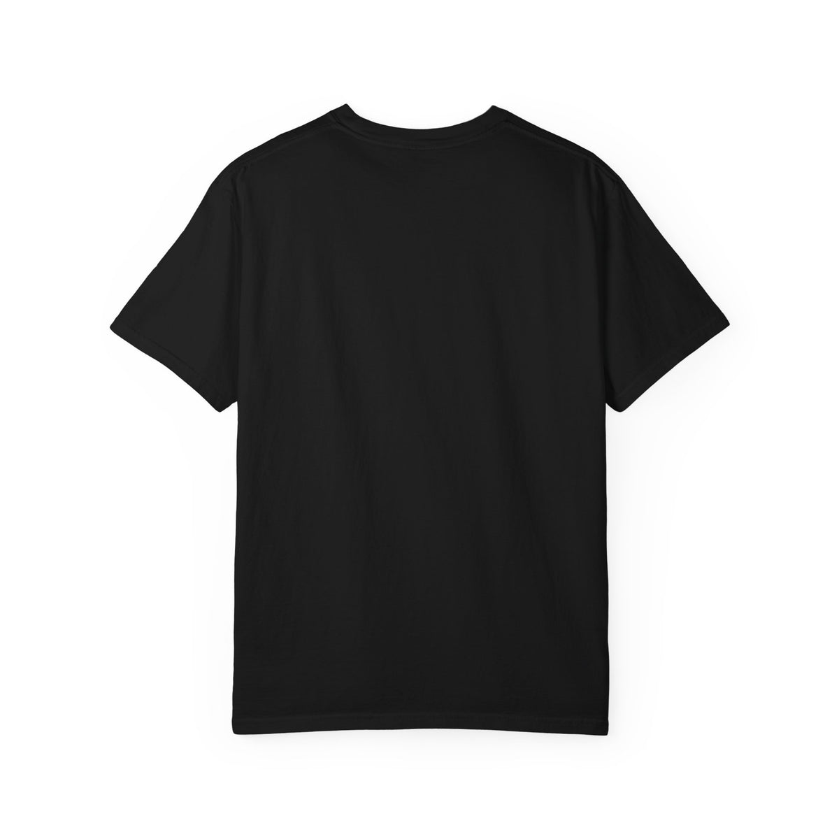 My Plan Today-T-shirt