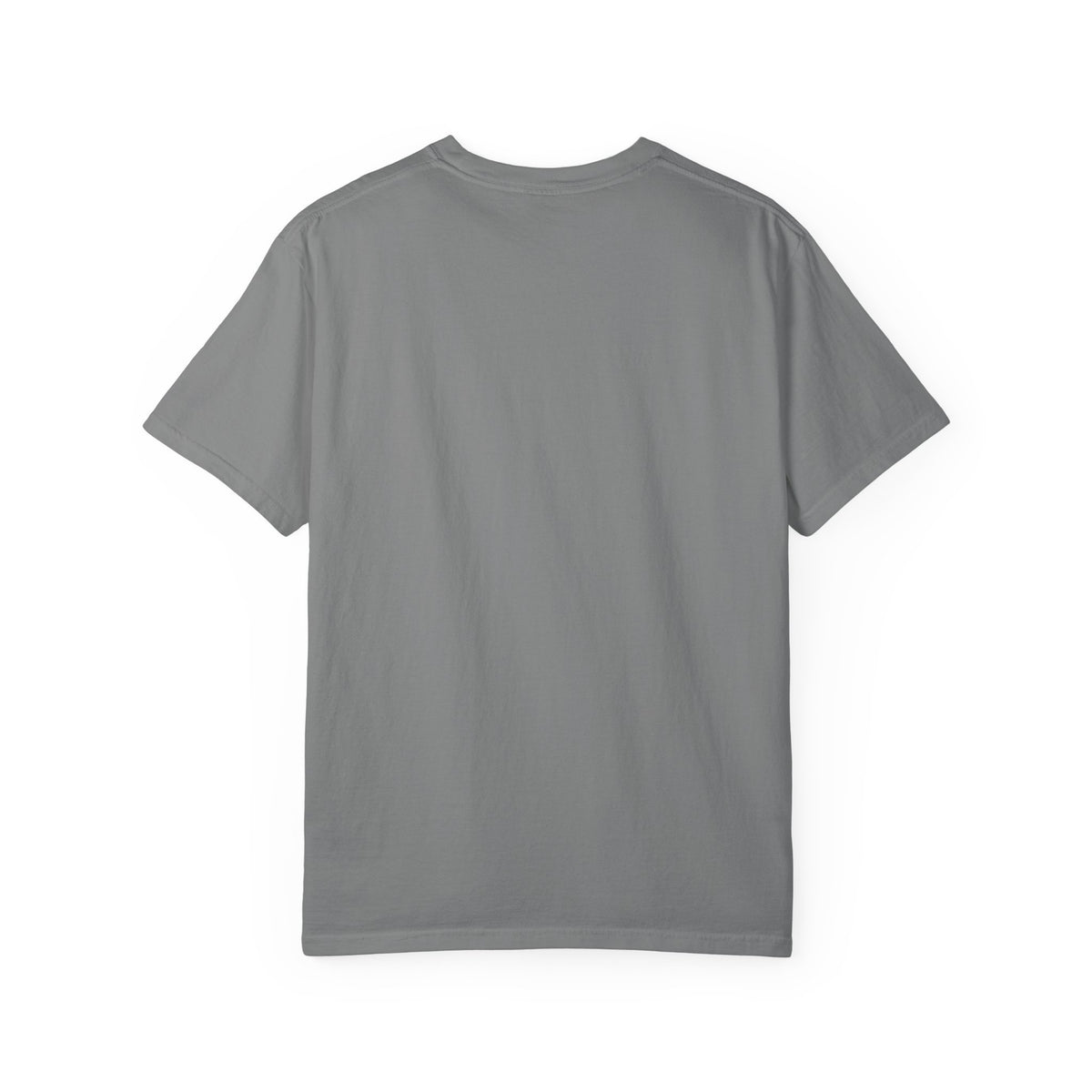 My Plan Today-T-shirt