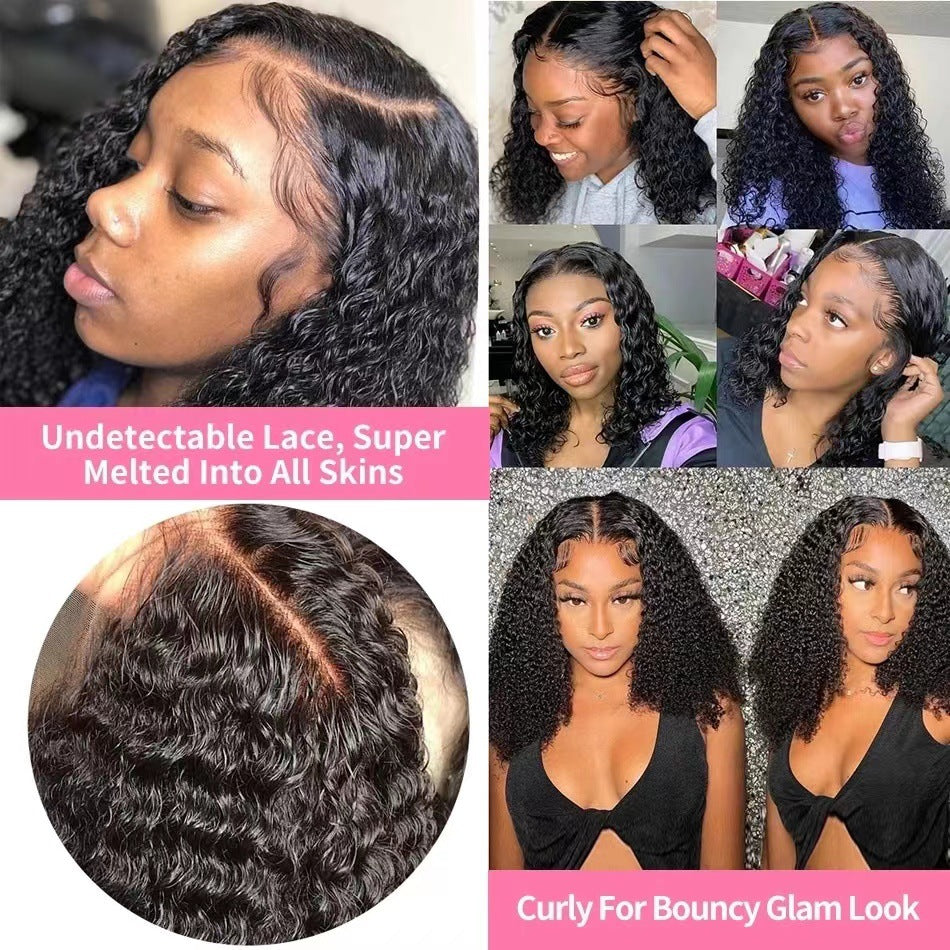 Front Lace 100% Human Hair Wig