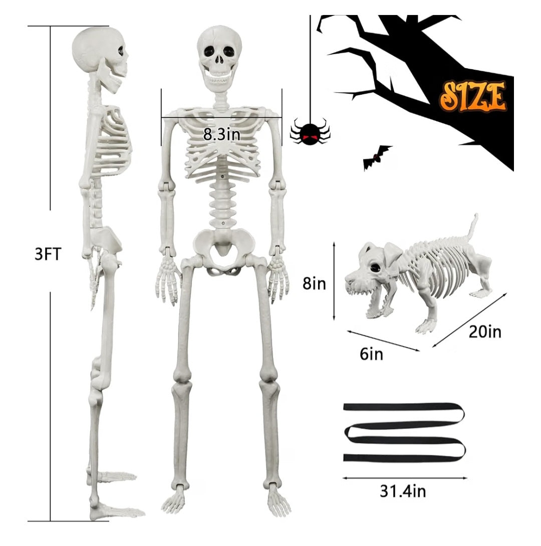 Lighted Human & Dog Skeleton Halloween Decorations