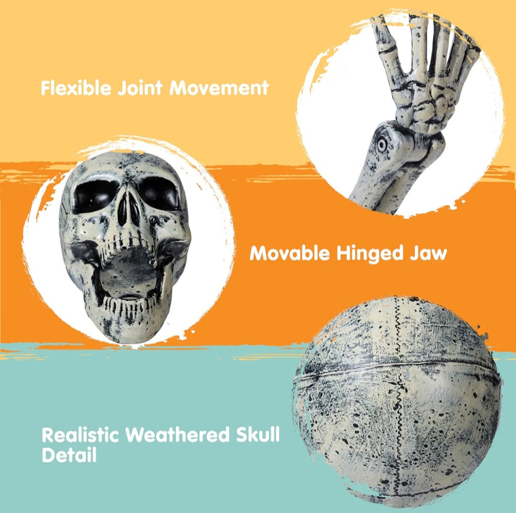 JOYIN 3 Pcs Halloween Skeleton Decorations