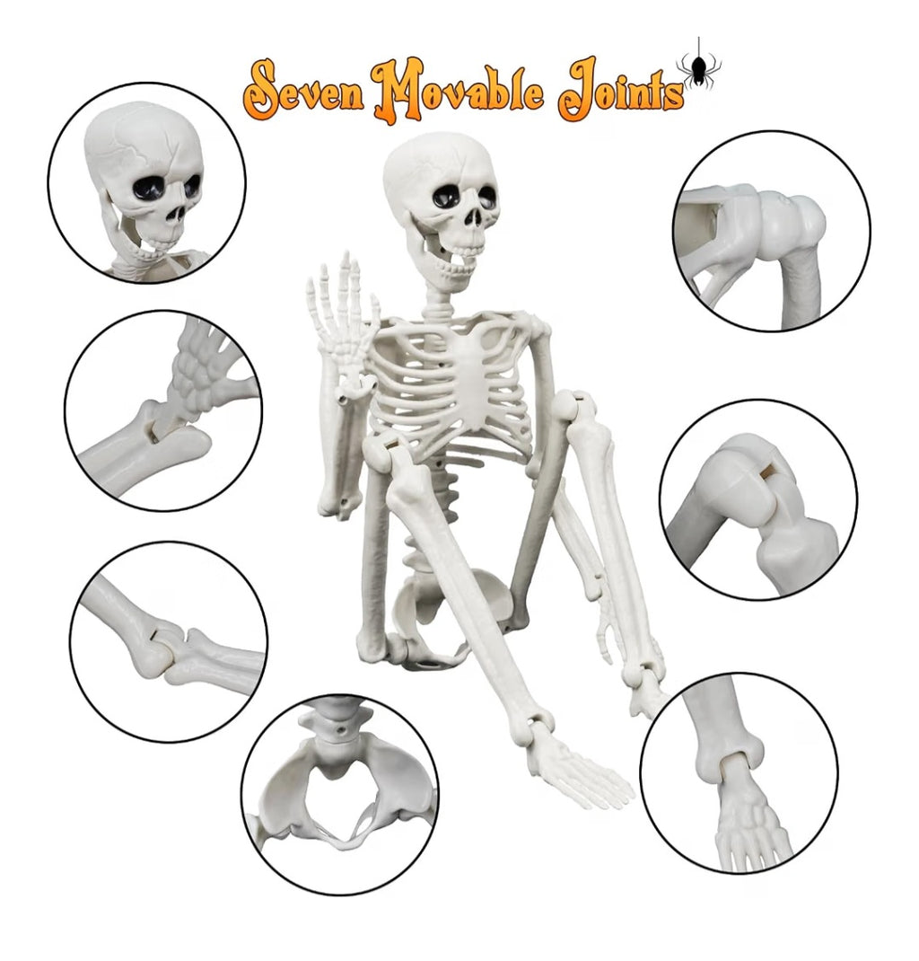 Lighted Human & Dog Skeleton Halloween Decorations