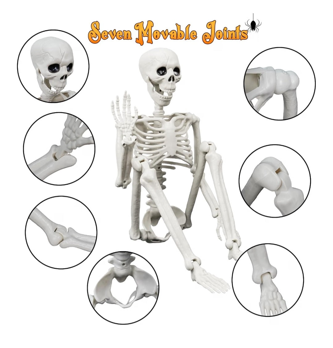Lighted Human & Dog Skeleton Halloween Decorations